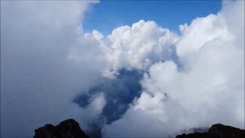 Что такое мудрость