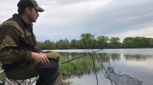 РЫБАЛКА НА РЕКЕ в мае. Отборная плотва и караси. Ловля белой рыбы на поплавок. Рыбалка 2023