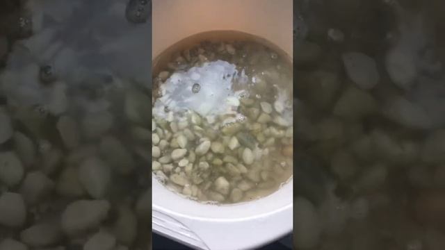 Как почистить аквариум порошком из Greenway смотреть онлайн