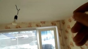 мдф панели потолок