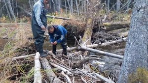 рыбалка поплавочными удочками на кумжу, мальму, гольца