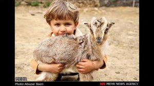 Tolışə nəğmə  Talış mahnısı Талышская песня:"Vila to" Shafi Noruzi