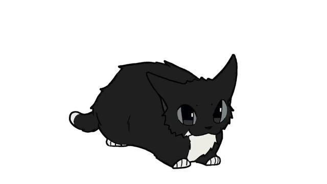 maxwell cat 10 hours