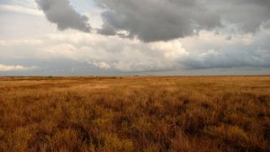 В  степи  , Иван Бунин  ,  читает Павел Беседин