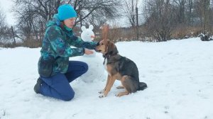 Трюки с собакой. Как научить собаку держать предмет на голове.