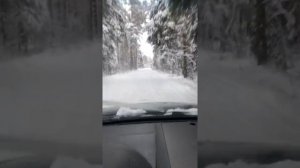 Отзыв: зимняя резина ROADSTONE WIN GUARD SPORT