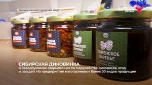 В Заводоуковске открылся цех по переработке дикоросов, ягод и овощей