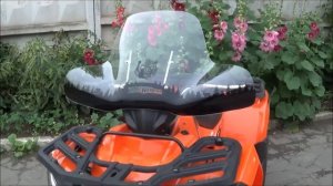 Ветровик универсальный BRAVE WARRIOR с шелкографией, для квадроцикла