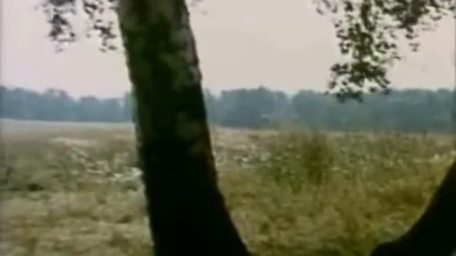 Людмила Зыкина Калина во ржи смотреть онлайн