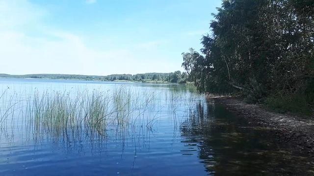 Купались на озере 