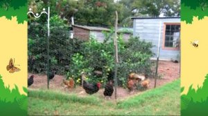 День в Шишкином Лесу. Зоология. Домашние животные