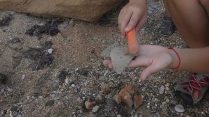 По следам серых копателей