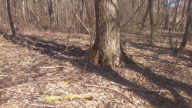 14 марта 23 года. лес река смотреть онлайн