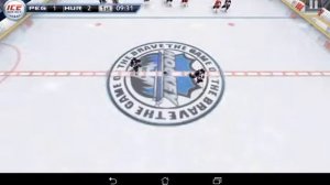 Обзор игра в хоккей с шайбой