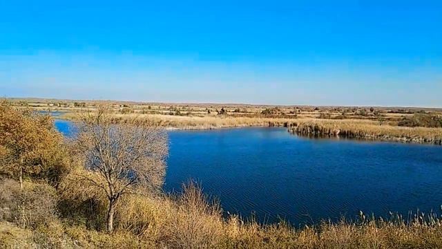 Топарские (Орловские) озёра.
