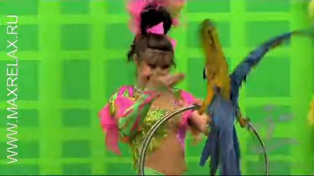 Пригласить дрессированных попугаев на детский праздник Москва смотреть онлайн