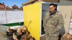 стоит ли заводить доминантов для получения ейца, как содержать доминантов,