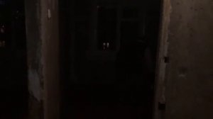 Устранение неприятного запаха в квартире. Сухой туман.