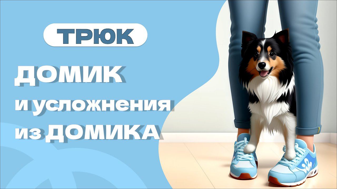 Трюк Домик и команды из домика, дом, нахождение собаки между ног смотреть онлайн