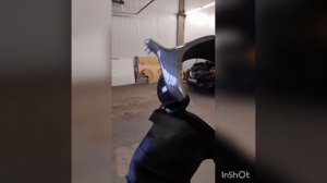 InShot_20230204_122052764.mp4