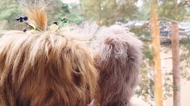 Ёжик на прогулке. Игрушка в смешанной технике.(2) смотреть онлайн