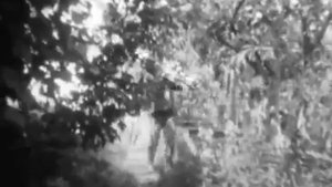 Дача СНТ " Проектировщик " Волгоград Виновка 1970 г.