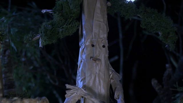 Fluch der Bäume (Templin) 2023 смотреть онлайн