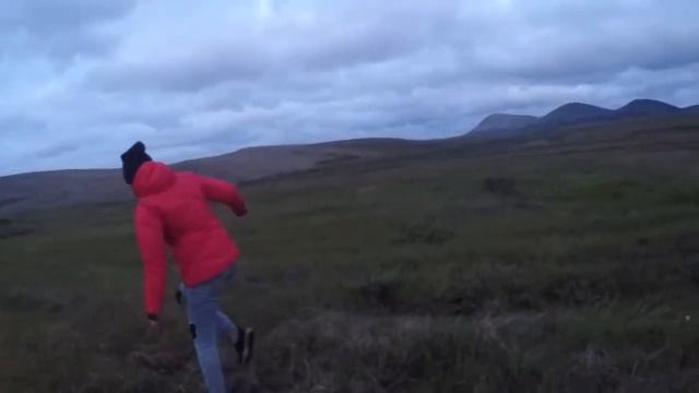 Поездка на птичий базар п.Беринговский ЧУКОТКА смотреть онлайн