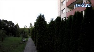 Санаторий Янтарный берег, Светлогорск - видео обзор
