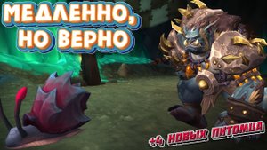 МЕДЛЕННО, НО ВЕРНО - Подробный гайд на достижение в World of Warcraft: Dragonflight #dragonflight