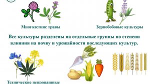 Севооборот - Видео №3