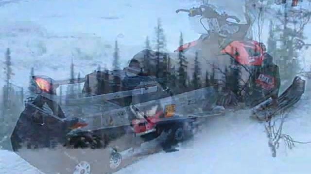 Lynx 59 Yeti 600 ACE смотреть онлайн