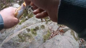 рыбалка в Дагестане, форель ручьевая