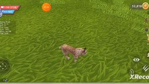 Выполняю квесты Wild Pass в игре WildCraft
