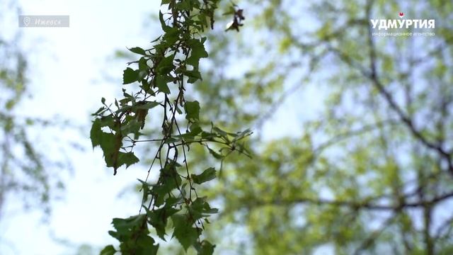 Стихи о Великой Отечественной войне. «Анныкей»