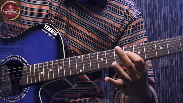 Beginner Acoustic Guitar Lesson-Sargam ex-3 (Bengali) Lesson 19 смотреть онлайн