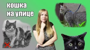 Нужно ли домашней кошке гулять на улице?