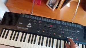 ROLAND E28