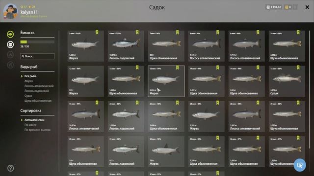 ФАРМ НА МЕЖДУРЕЧЬЕ НА МАГАЗИННЫЕ ПРИМАНКИ ВОЛХОВ В РУССКОЙ РЫБАЛКЕ 4 РР4 смотреть онлайн