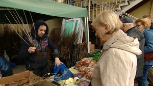 В Сочи открылась выставка рассады и саженцев из новосибирского питомника "Надежный сад"