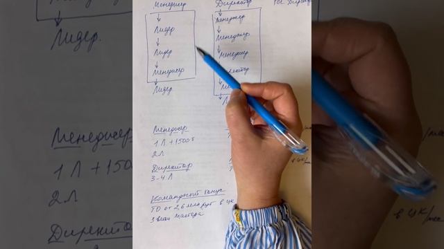 Фишки маркетинг-плана LAMBRE. Только для лидеров. 2023 год смотреть онлайн