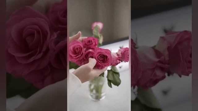 "Последний цветок" Флориан Роси Невероятная история! #красивыестихиолюбви #трогательно
