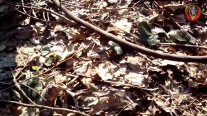 Поиск цветмета. Не думал, что найду столько меди. Медные кабеля.