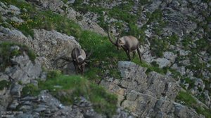Best train rides in Switzerland - Brienz Rothorn Bahn 4K