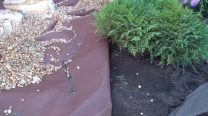 как сделать клумбу из каталога "150 ландшафтных проектов"