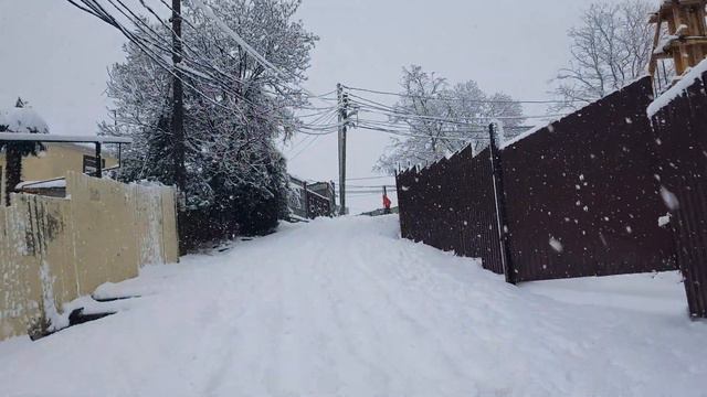 Сочи в снегу!18 февраля 2021 г. смотреть онлайн