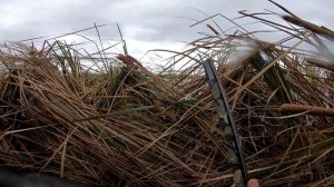 Охота на утку в Сибирских болотах ЁКЛМН! Охота 2022 или как в деревне видеоблогеров уток стреляют.