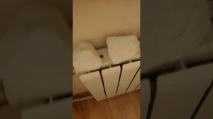 Как сушу  мел