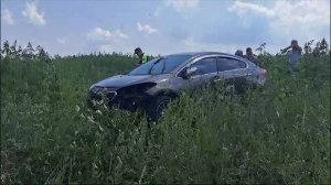 Смерть в конопляном поле