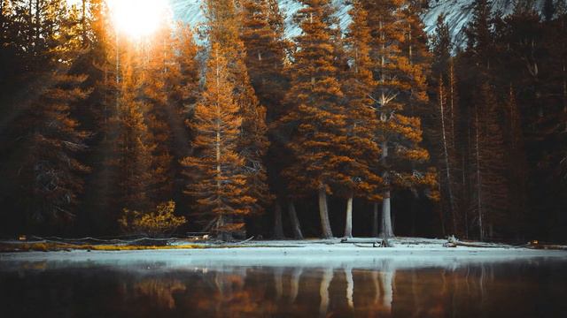 Указание пути ко спасению. Иеросхим. Василий / Наставления старцев Саровской пустыни смотреть онлайн